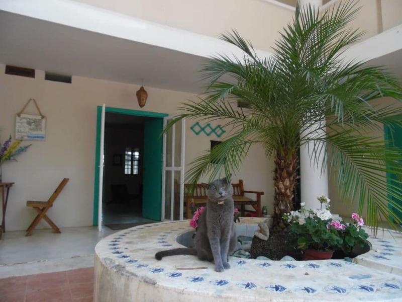 Posada James San Luis Potosí Екстериор снимка